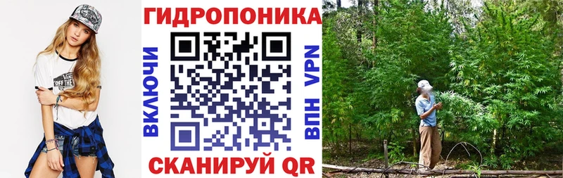 Конопля Ganja наркота Магас